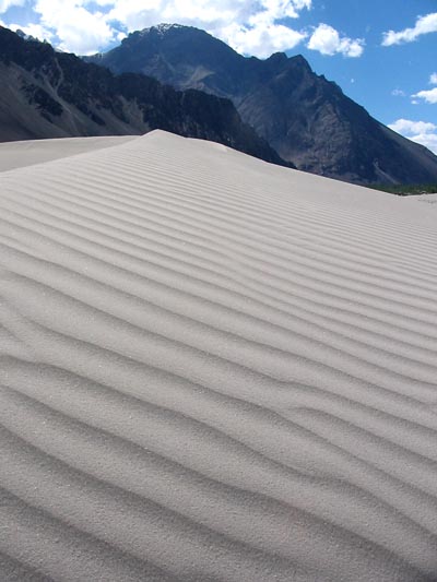 Sand dune in Nubra Valley, Ladakh, India