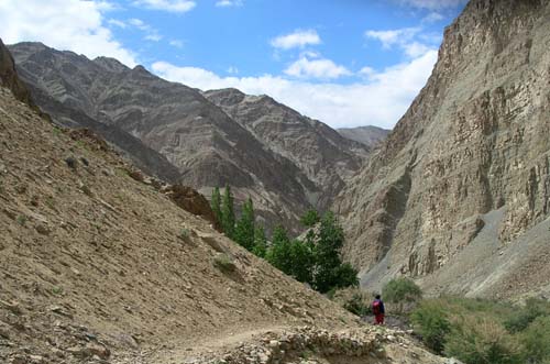 Ladakh landscape
