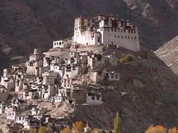 Ladakh, village houses around a Buddhist monastery 