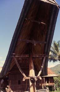 Toraja house roof