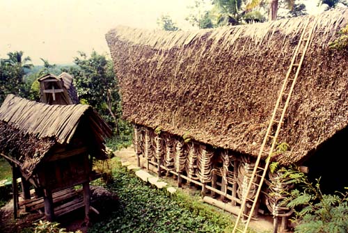 Side of a Toraja house adorned with buffalo horns