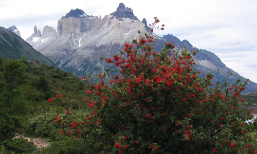 Torres del Paine, Chilean Patagonia